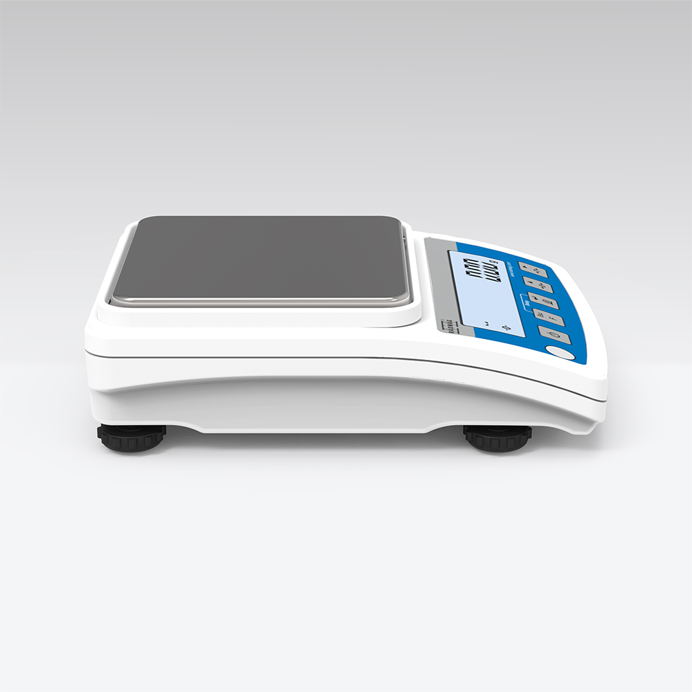 Precision Balance WTC 600 RADWAG, POLAND
